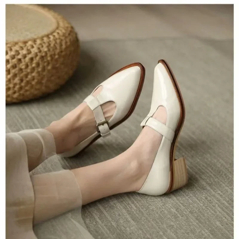 Leomara Elegant Stiletto Pumps