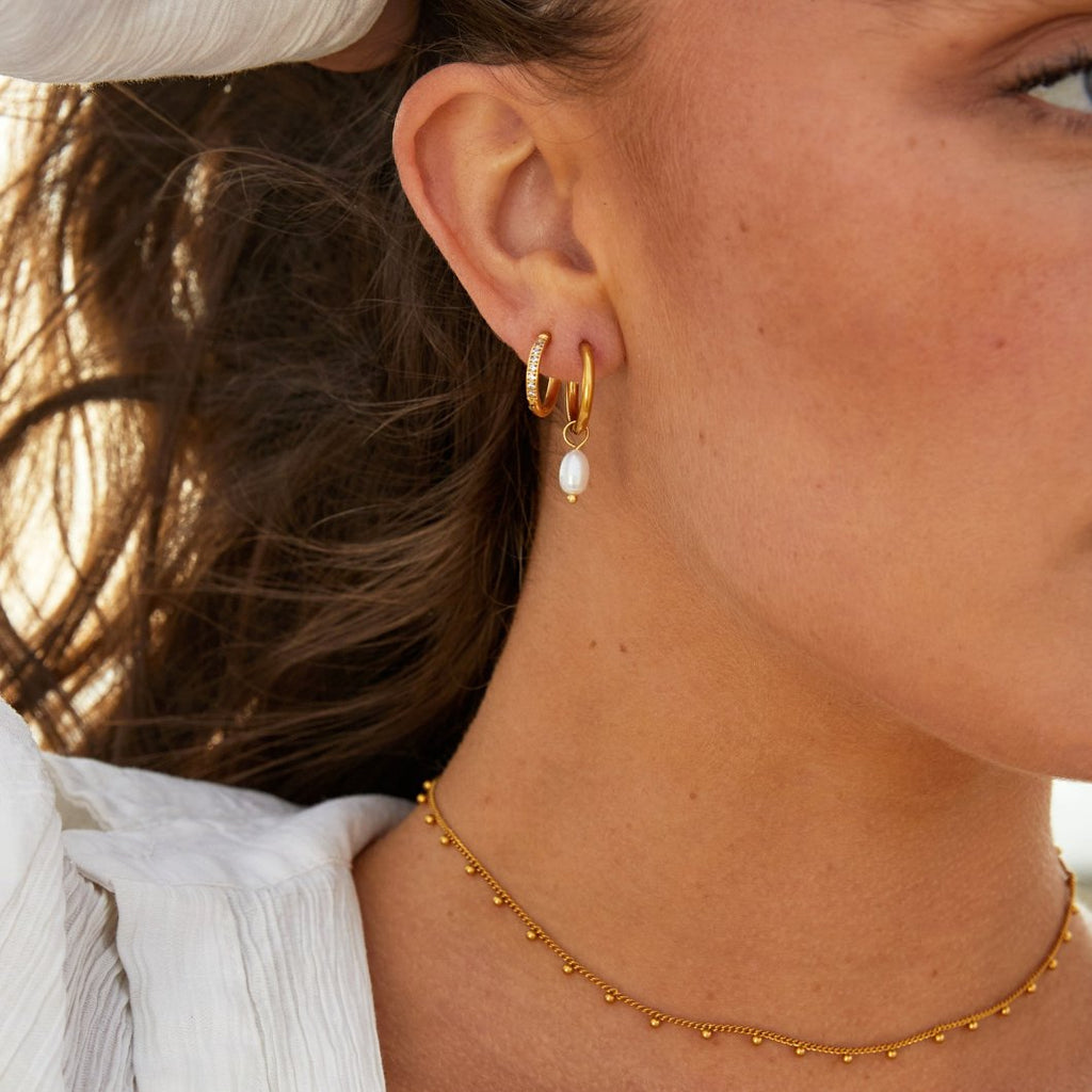 ALIA Collection